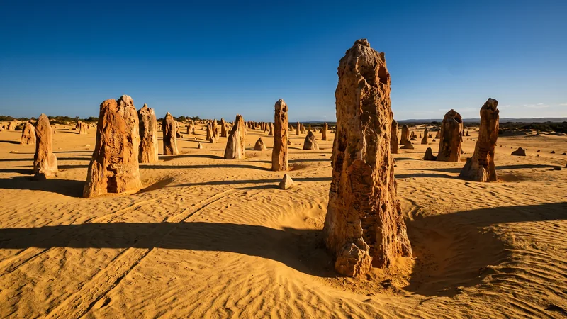 Pinnacles Desert limestone formations at sunset, Western Australia