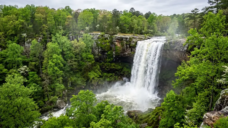 Noccalula Falls cascading into a forested gorge in Gadsden, Alabama
