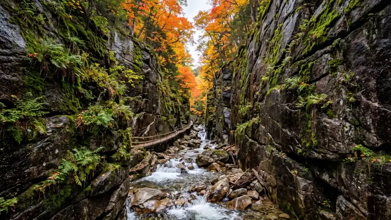 Granite walls of Flume Gorge in the White Mountains, New Hampshire