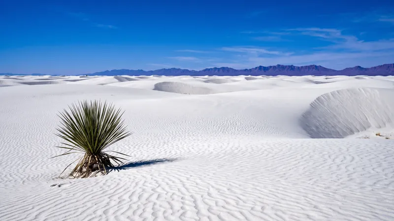 White gypsum dunes at White Sands National Park, New Mexico