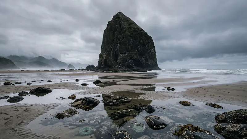 Haystack Rock at Cannon Beach, Oregon