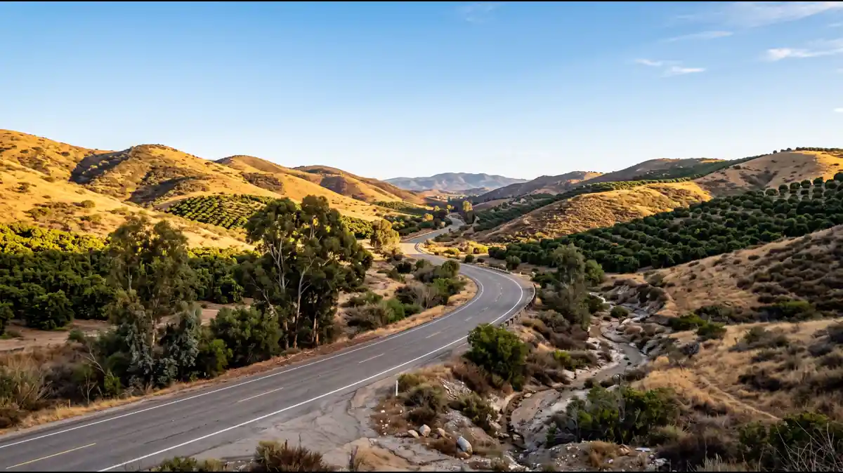 San Pasqual Valley Road entrance drive with Safari Park signage and hills in Escondido California